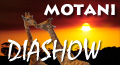 Motani
